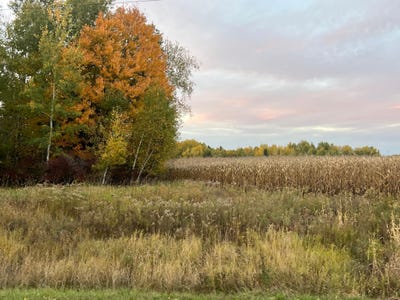 /international/us/holly-rd-pine-city-mn-110120154373/