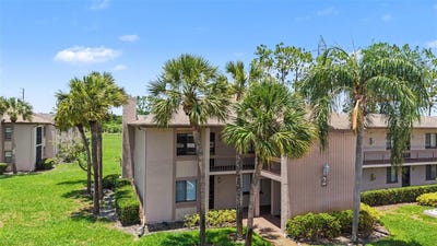 /international/us/202-mary-drive-oldsmar-fl-110108349116/