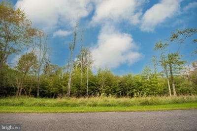 /international/us/lower-camp-road-lot-94-mchenry-md-110110267377/
