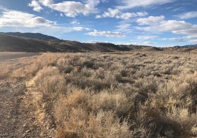 /international/us/3-keele-road-caliente-nv-110095431573/