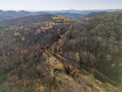 /international/us/wild-apple-road-pomfret-vt-110103425177/