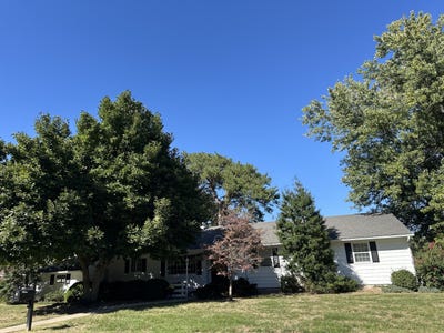 /international/us/305-mission-st-marshall-mo-110120152617/