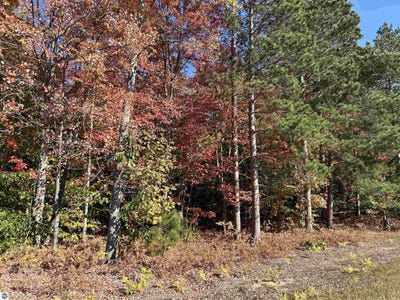 /international/us/0-m-115-thompsonville-mi-110095085449/