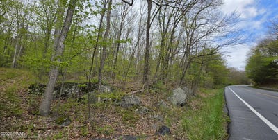 /international/us/state-route-97-lot-23-21-narrowsburg-ny-ny-110108065765/
