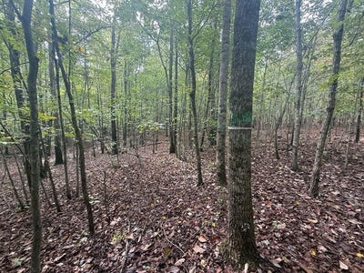 /international/us/westpoint-stevens-rd-lot-10-drakes-branch-va-110120426397/