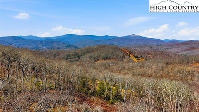 /international/us/high-forest-drive-lot-16-newland-nc-110106347885/