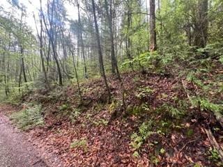 /international/us/lot-111-bear-den-trl-grandview-tn-110099137649/
