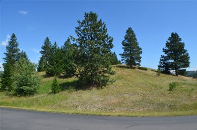 /international/us/138-ashley-hills-drive-kalispell-mt-110101114691/?lang=zh-cn