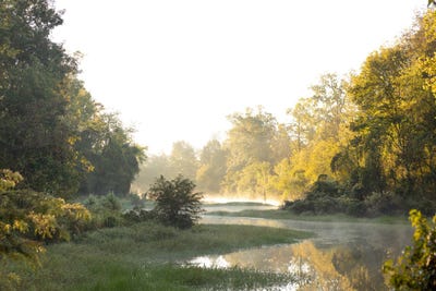 /international/us/paulette-rd-macon-ms-110120415920/