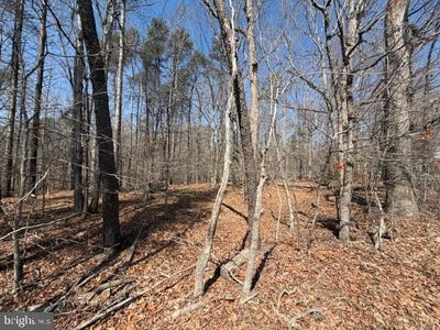 /international/us/countryside-lane-lot-2-lignum-va-110107876586/