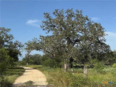 /international/us/batey-ranch-road-nixon-tx-110109453075/
