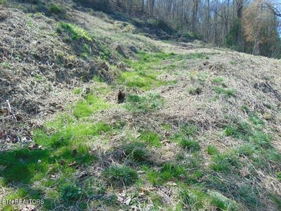 /international/us/walnut-lane-pineville-ky-110104779578/