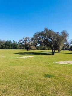 /international/us/nw-145th-westfield-lot-2-morriston-fl-110097118692/