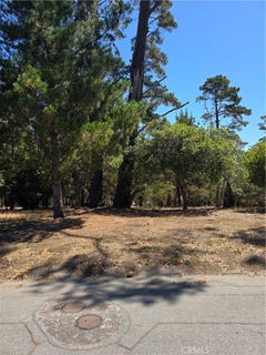 /international/us/2418-malvern-street-cambria-ca-110101460427/?lang=zh-tw