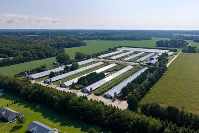/international/us/21213-big-farm-rd-lot-80-melfa-va-110110144793/