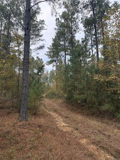 /international/us/hitt-road-murfreesboro-ar-110103473922/