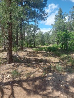 /international/us/16-secret-pines-court-tijeras-nm-110093477951/?lang=zh-cn