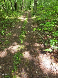/international/us/tbd-dry-branch-road-elizabethton-tn-110101070402/