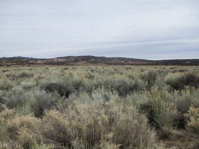 /international/us/eagle-valley-rd-33-89-ac-pioche-nv-110090876121/?lang=zh-tw