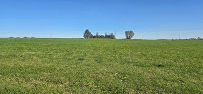 /international/us/tbd-lot-3-blk-2-3rd-avenue-se-harmony-mn-110102792062/