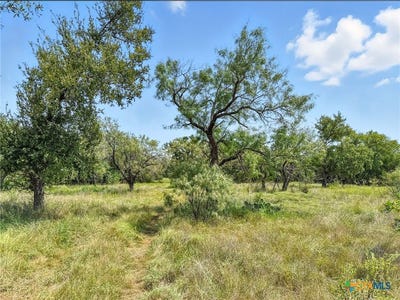 /international/us/cr-421-lot-2-evant-tx-110102028282/