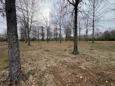 /international/us/30r-river-birch-drive-guy-ar-110106260784/