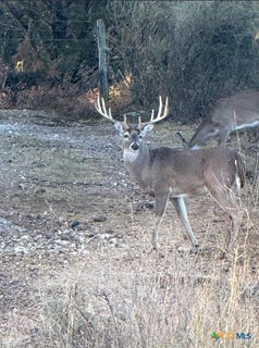 /international/us/1218-private-road-1377-lampasas-tx-110104516266/