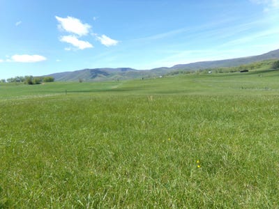 /international/us/friars-hill-rd-trout-wv-110107586694/