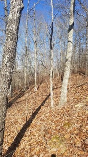 /international/us/dogwood-dr-lot-105-holladay-tn-110091141344/