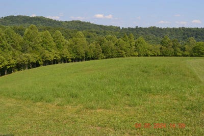 /international/us/hawk-s-view-lane-napier-wv-110093668630/