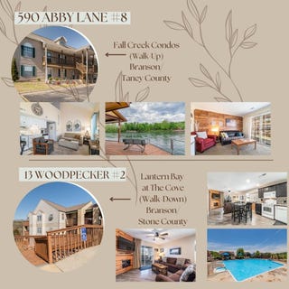 /international/us/590-13-abby-ln-woodpecker-branson-mo-110108240291/