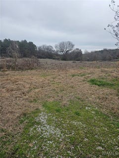 /international/us/836-county-road-7-greensboro-al-110105035196/