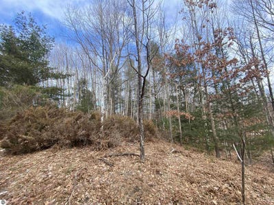 /international/us/lot-31-scenic-hills-drive-williamsburg-mi-110096888823/?lang=en