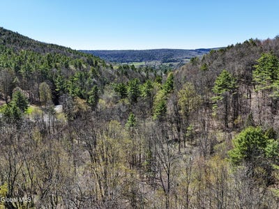 /international/us/l19-mary-taylor-road-middleburgh-ny-110107818554/