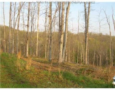 /international/us/18-majestic-pointe-elkview-wv-110041347076/