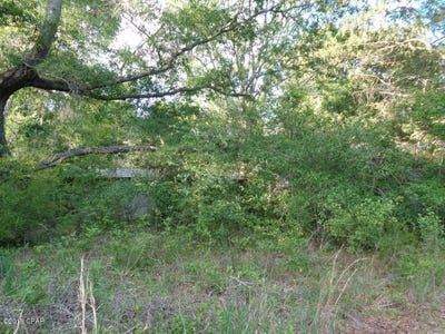 /international/us/madison-lane-graceville-fl-110108413968/