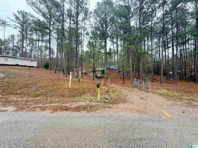 /international/us/3800-county-road-61-clanton-al-110104198399/