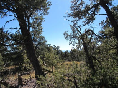/international/us/servilleta-lot-57-tres-piedras-nm-110104535224/