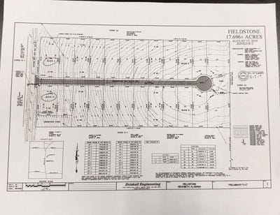/international/us/blk-a-lots-1-12-fieldstone-way-rehobeth-al-110105272863/