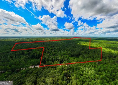 /international/us/39-87-acres-irby-road-gibson-ga-110108344811/