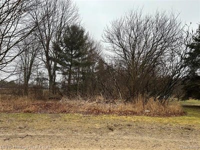 /international/us/cedar-rd-handy-twp-mi-110106012977/