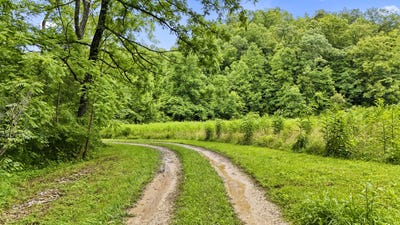/international/us/1235-greenbrier-road-campton-ky-110100372976/