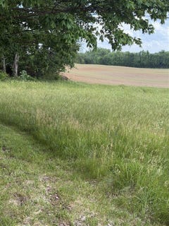 /international/us/1649-pondsville-road-smiths-grove-ky-110108472973/