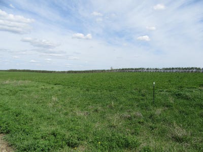 /international/us/5-royal-oaks-road-garvin-mn-110089997819/