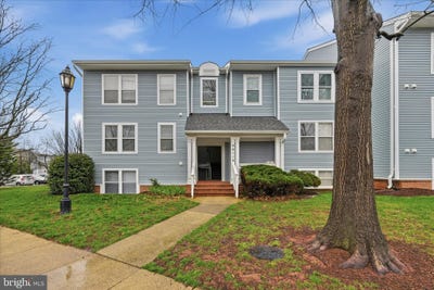 /international/us/44114-natalie-terrace-ashburn-va-110107714943/