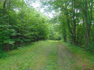 /international/us/mace-road-gilboa-ny-110033644449/