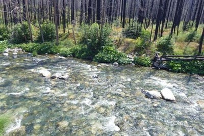 /international/us/3931-coffee-creek-rd-coffee-creek-ca-110101096531/