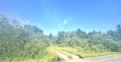 /international/us/3843-pre-emption-road-tyrone-ny-110100983012/
