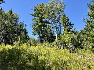 /international/us/red-rock-estates-lot-13-pembroke-me-110109338698/