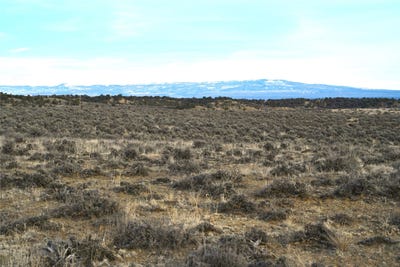 /international/us/vereda-de-venados-tierra-amarilla-nm-110104543170/